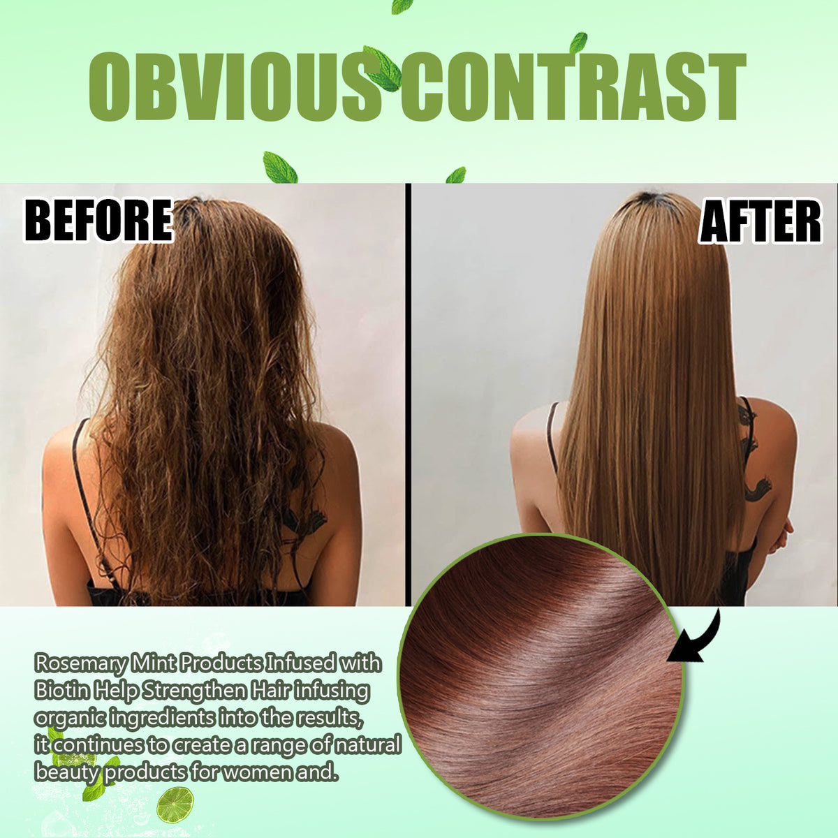 Rosemary Mint Shampoo for Dry, Frizzy Hair