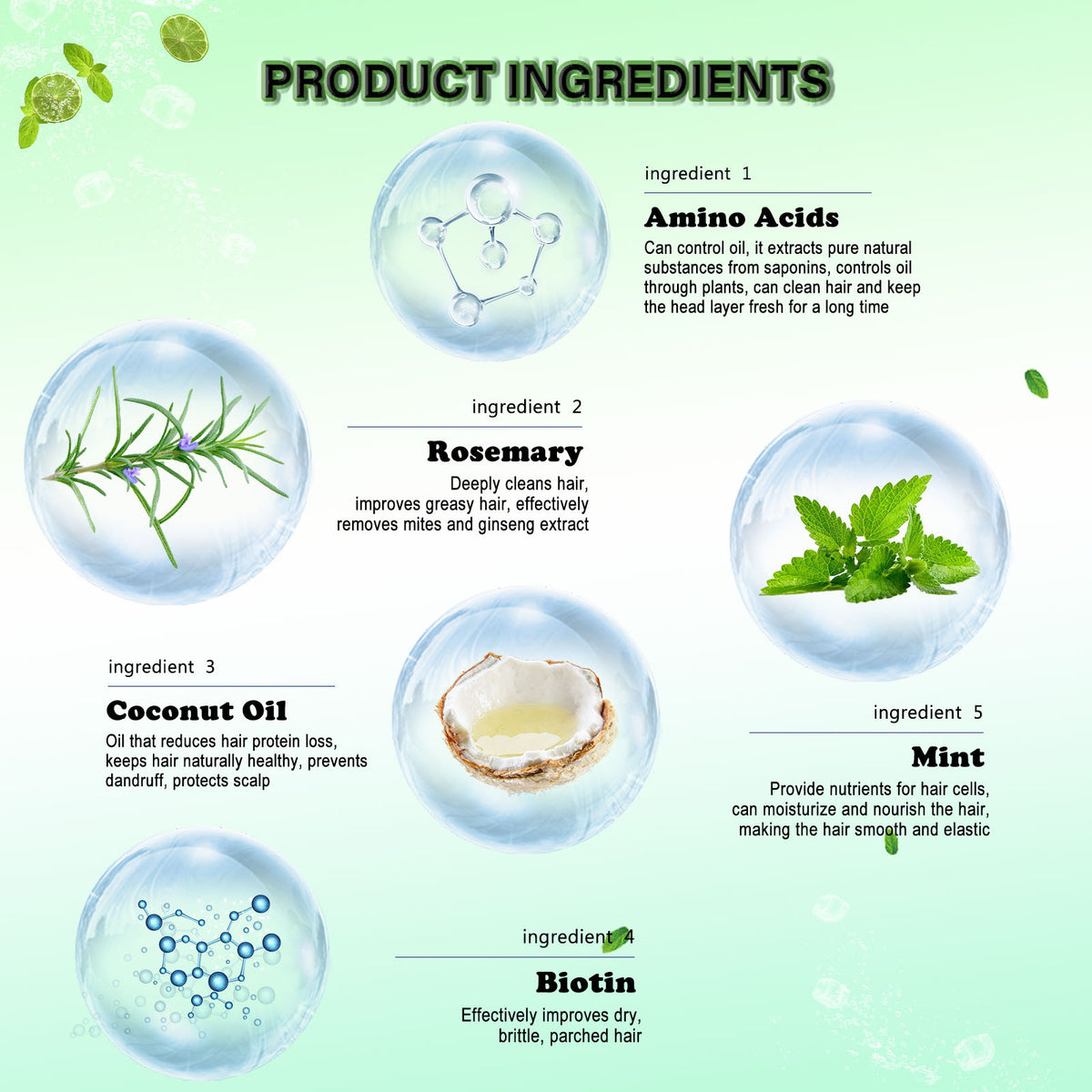 Rosemary Mint Shampoo for Dry, Frizzy Hair